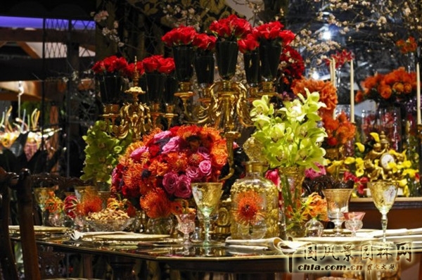 走近美國費城花展