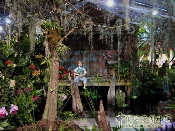 走近美國費城花展