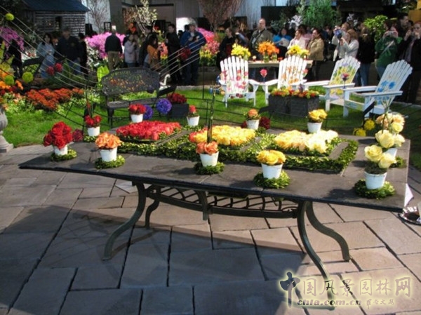 走近美國費城花展