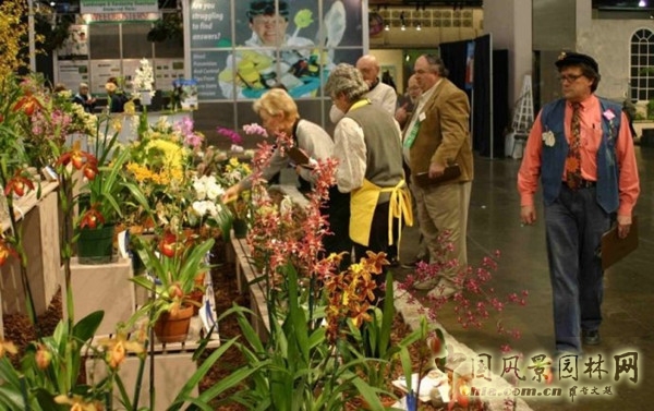 走近美國費城花展