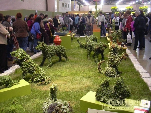 走近美國費城花展