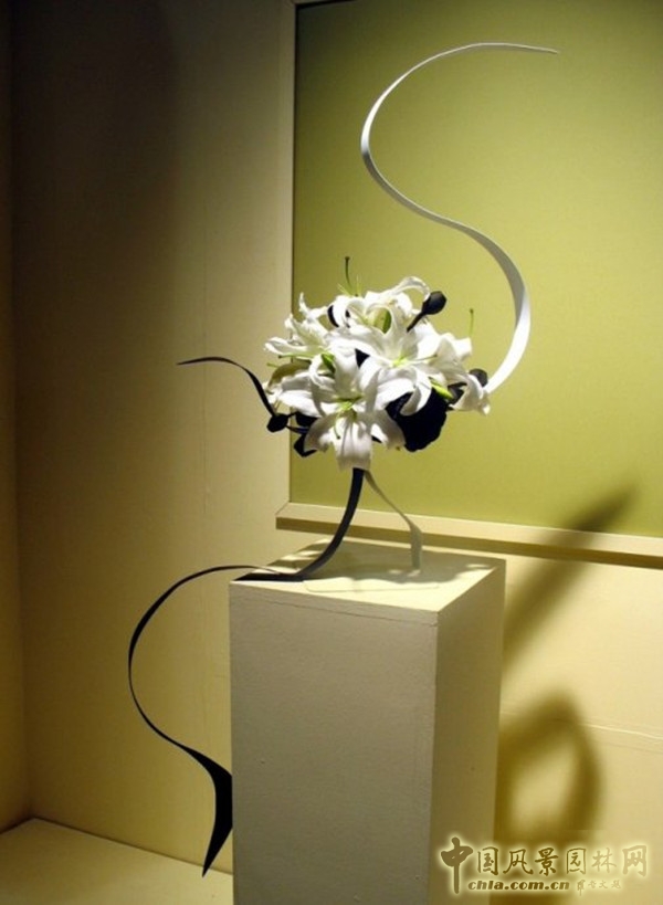 走近美國費城花展