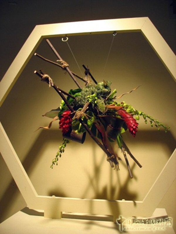 走近美國費城花展