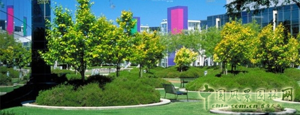 8月9日頭條：美西考察（加州站）：SWA大師的方圓經典