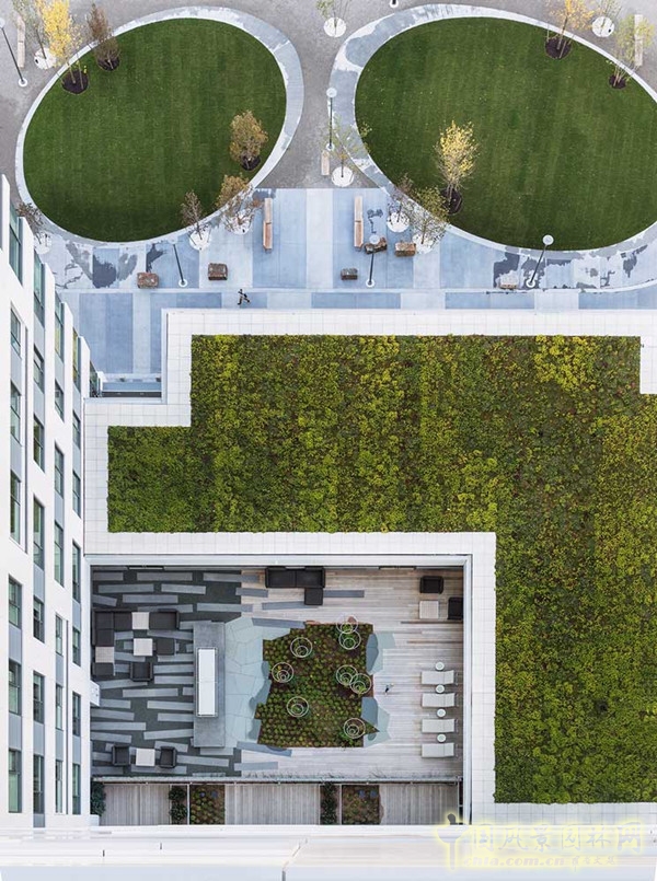 8月10日頭條:美國劍橋北角口袋公園項目賞析