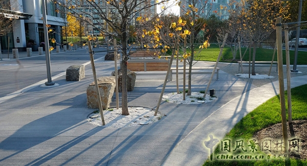 8月10日頭條：美國劍橋北角口袋公園項目賞析