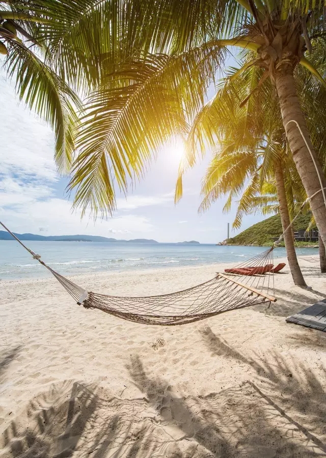 海南太陽灣柏悅：抑制不住“洪荒之力”愛上這里的椰林沙灘