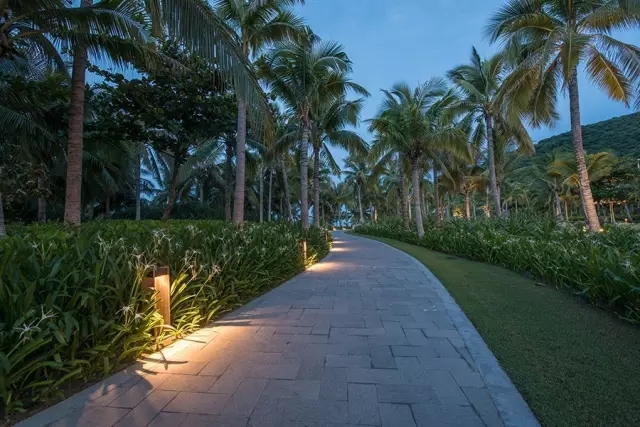 海南太陽灣柏悅：抑制不住“洪荒之力”愛上這里的椰林沙灘