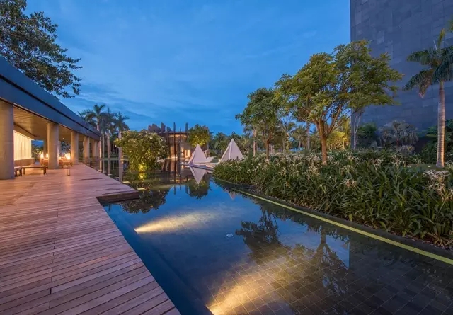 海南太陽灣柏悅：抑制不住“洪荒之力”愛上這里的椰林沙灘