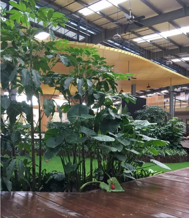 中創(chuàng)環(huán)亞:福漢木業(yè)集團(tuán)倉(cāng)庫(kù)改造