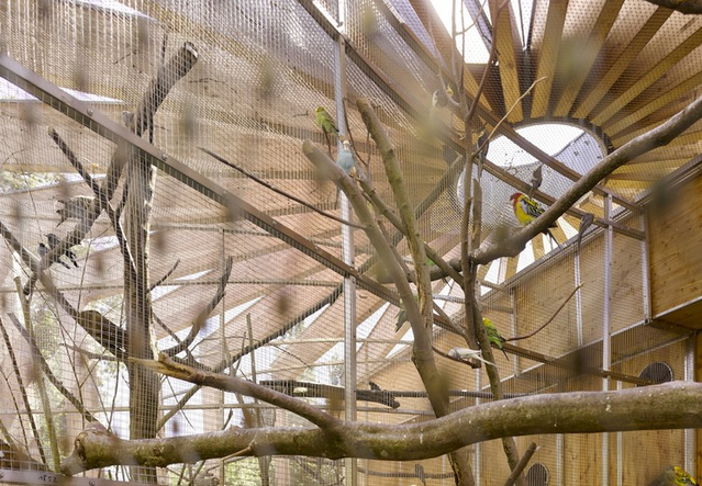 厄赫林根寵物動物園景觀（圖）