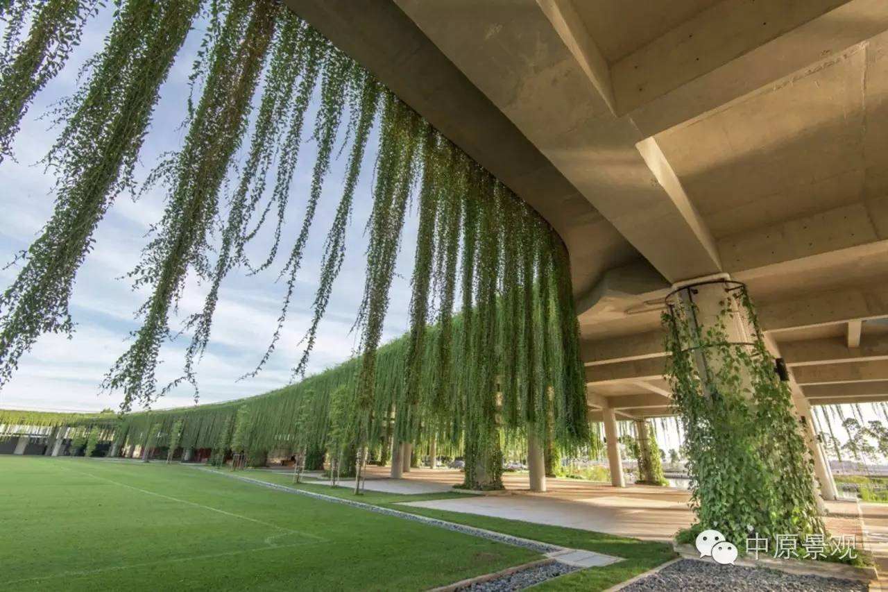 馬來西亞加里斯建筑師的弧形景觀設計