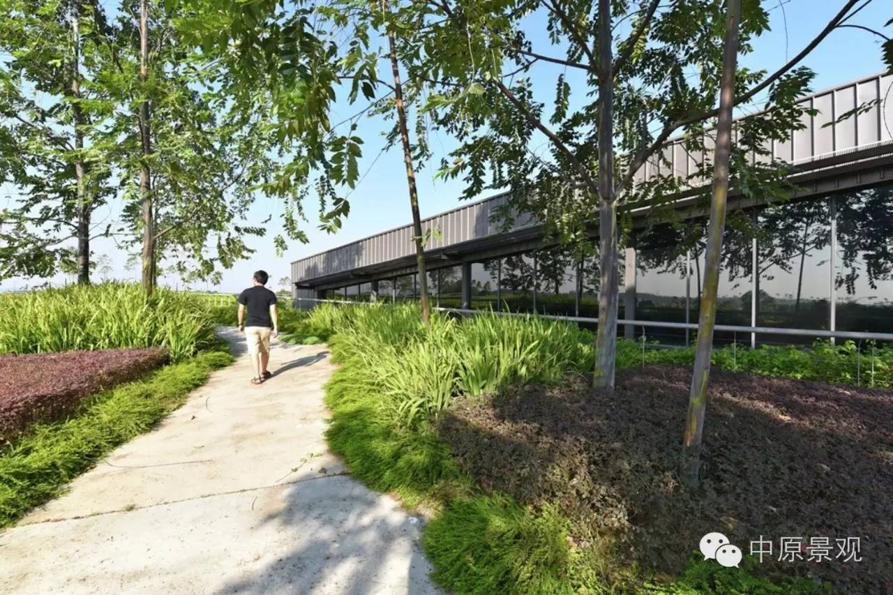 馬來西亞加里斯建筑師的弧形景觀設計