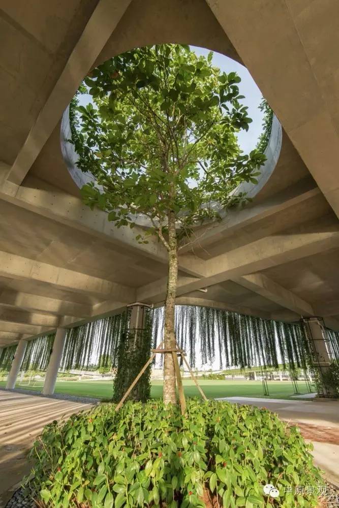 馬來西亞加里斯建筑師的弧形景觀設(shè)計