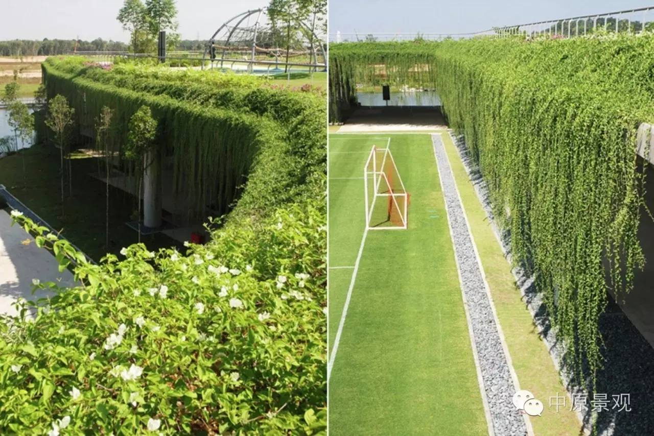 馬來西亞加里斯建筑師的弧形景觀設(shè)計