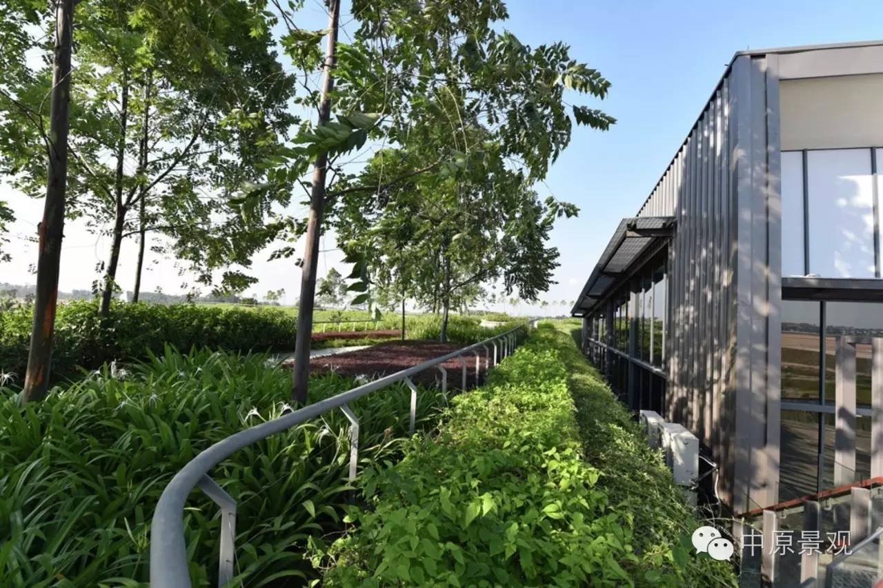 馬來西亞加里斯建筑師的弧形景觀設(shè)計