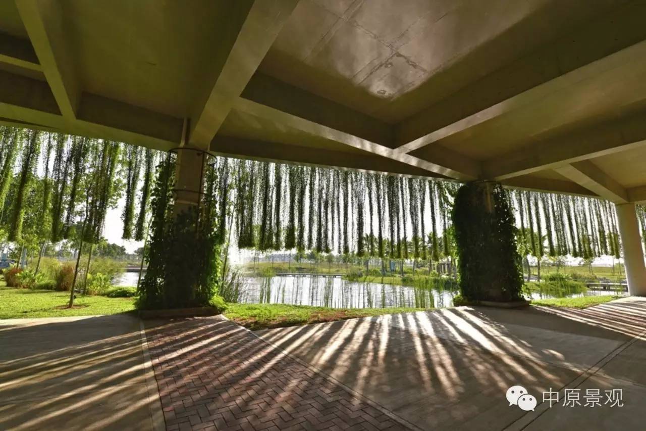 馬來西亞加里斯建筑師的弧形景觀設計