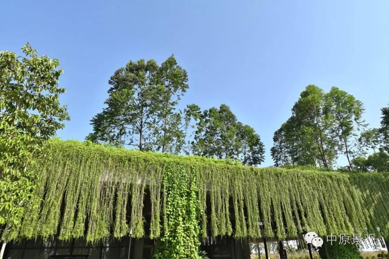 馬來西亞加里斯建筑師的弧形景觀設計