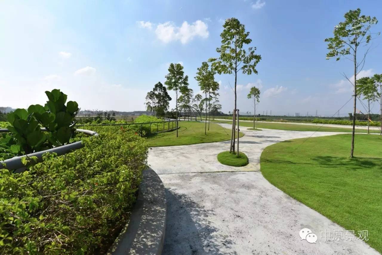 馬來西亞加里斯建筑師的弧形景觀設計