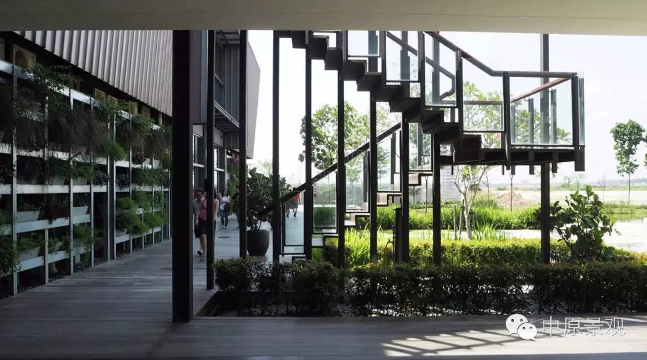 馬來西亞加里斯建筑師的弧形景觀設計