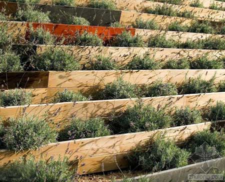 西班牙桑坦德大西洋濕地公園景觀