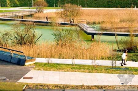 西班牙桑坦德大西洋濕地公園景觀