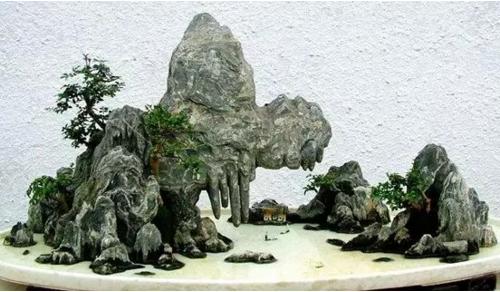 盆景七大類,你都知道嗎?