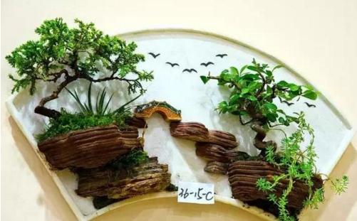 盆景七大類，你都知道嗎？