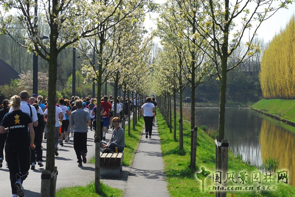 8月19日頭條：辛克爾群島（SCHINKELISLANDS）景觀項目賞析