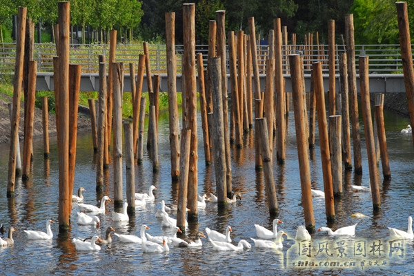 8月19日頭條：辛克爾群島（SCHINKELISLANDS）景觀項(xiàng)目賞析