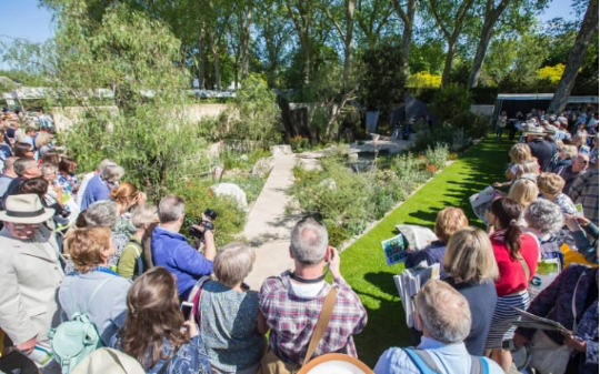 2016 Chelsea Flower Show 切爾西花展最佳作品獎(jiǎng)——Telegraph garden 