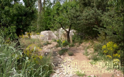 2016 Chelsea Flower Show 切爾西花展獲獎作品——金獎