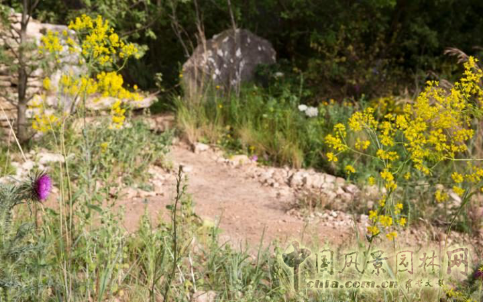 2016 Chelsea Flower Show 切爾西花展獲獎作品——金獎