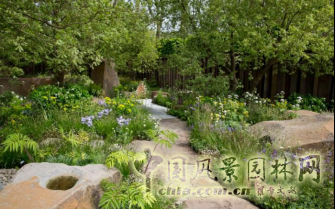 2016 Chelsea Flower Show 切爾西花展獲獎作品——金獎