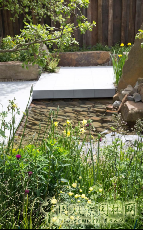 2016 Chelsea Flower Show 切爾西花展獲獎作品——金獎