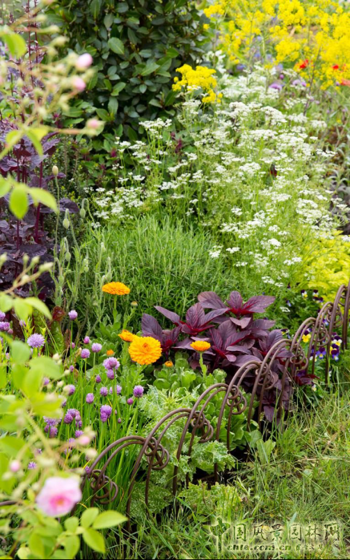 2016英國切爾西花展銀鍍金獎作品賞析