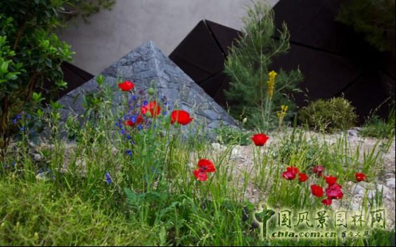 2016英國切爾西花展銀鍍金獎作品賞析