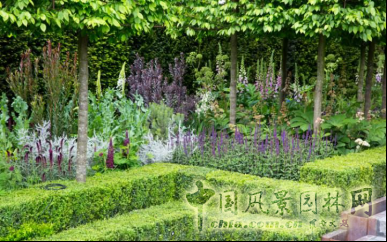 2016英國切爾西花展銀鍍金獎作品賞析