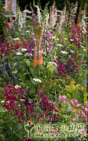 2016英國切爾西花展銀鍍金獎作品賞析