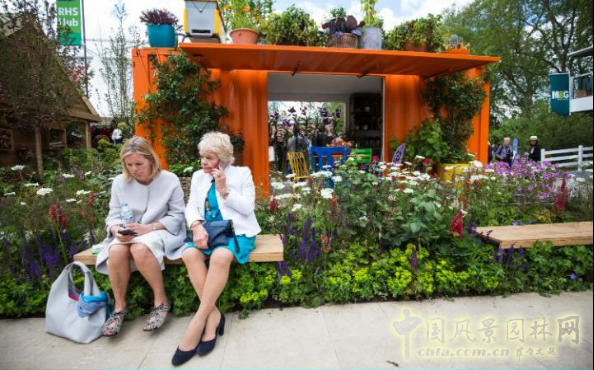 2016英國切爾西花展銀鍍金獎作品賞析