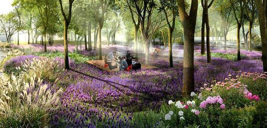 上海最美景觀梯田不久將隆重登場