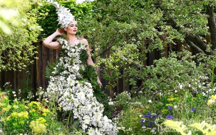 2016英國切爾西花展——歷數(shù)那些有趣的細部設(shè)計