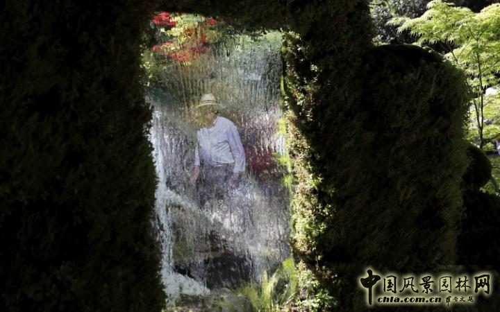 2016英國切爾西花展——歷數那些有趣的細部設計