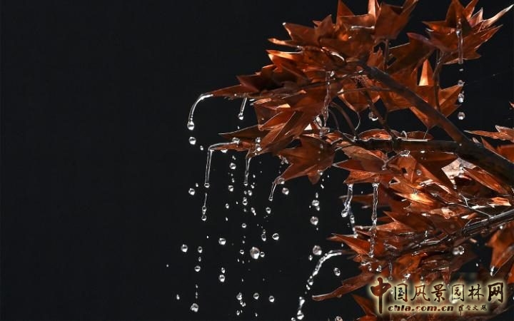 2016英國切爾西花展——歷數那些有趣的細部設計