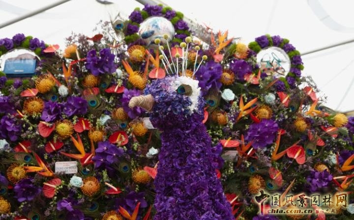 英國2016切爾西花展掀起的花藝設(shè)計熱潮