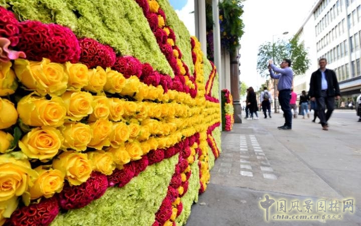 英國2016切爾西花展掀起的花藝設計熱潮