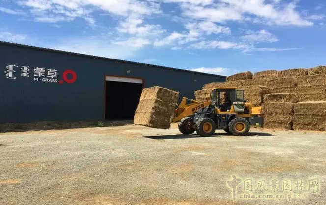 第四屆中國草業(yè)大會(huì)在青海西寧召開 蒙草榮獲三項(xiàng)大獎(jiǎng)