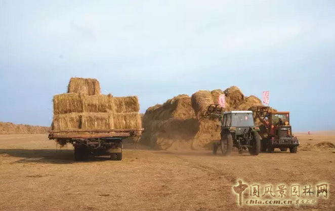 第四屆中國草業(yè)大會(huì)在青海西寧召開 蒙草榮獲三項(xiàng)大獎(jiǎng)