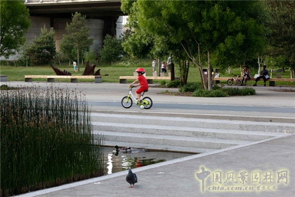 【8月23日頭條】法國LE PARC DU CHEMIN DE L’ILE濱水公園