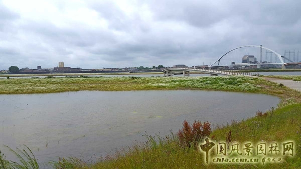 8月26日頭條：荷蘭內梅亨市瓦爾河空間恢復項目賞析